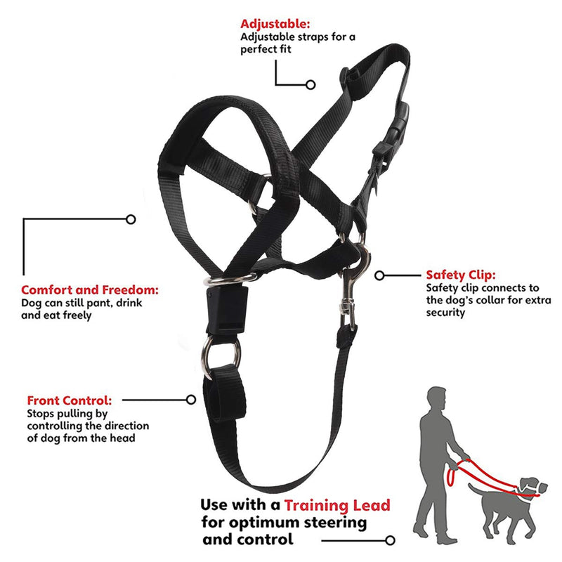 Dog Head Collar, No Pull Training Tool for Dogs on Walks, Includes Free Training Guide, Soft Padding, 5 S Black - PawsPlanet Australia