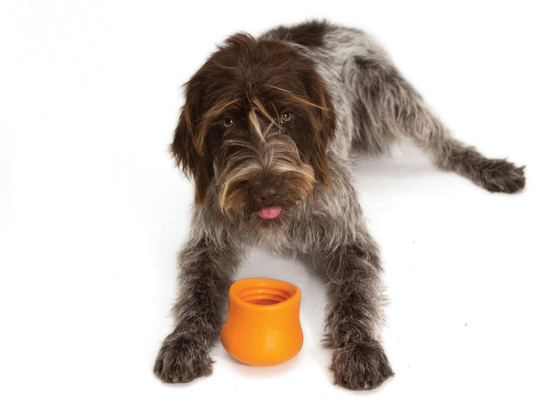 [Australia] - West Paw Zogoflex Toppl Treat Dispensing Dog Toy Puzzle – Interactive Chew Toys for Dogs – Dog Toy for Moderate Chewers, Fetch, Catch – Holds Kibble, Dog Training Treats, Made in USA Large Aqua 