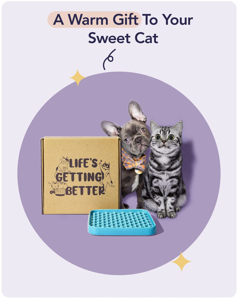 LE TAUCI PET Ceramic Slow Feeder Bowl for Cat and Small Dog, Lick Mat for Wet Food and Dry Food, Cat Food Puzzle Feeder, IQ Pet Treat Mat, Dog Feeder, Slow Bowl, Puppy Bowl, Great Gift for Pet Blue Cross - PawsPlanet Australia