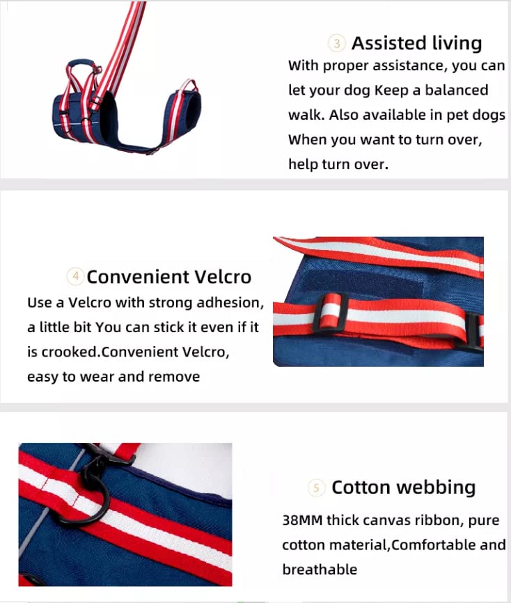 XTrador dog harness carrying aid for dogs especially for hip problems carrying strap for injured, older or musculoskeletal limited dogs rehabilitation safety walking aid (M) M - PawsPlanet Australia