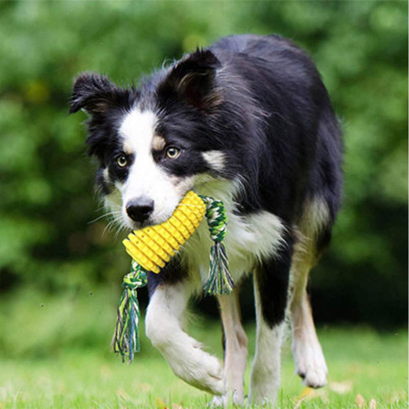 Yhuasia Dog Toothbrush Toy, Dog Chew Corn Toys, Dog Toy Corn Molar, Dog Corn Rope Toy, Puppy Dental Care Brushing Stick, Dog Chew Toys, for Chewing Teeth Care of Small, Medium and Large Dogs (Yellow) - PawsPlanet Australia