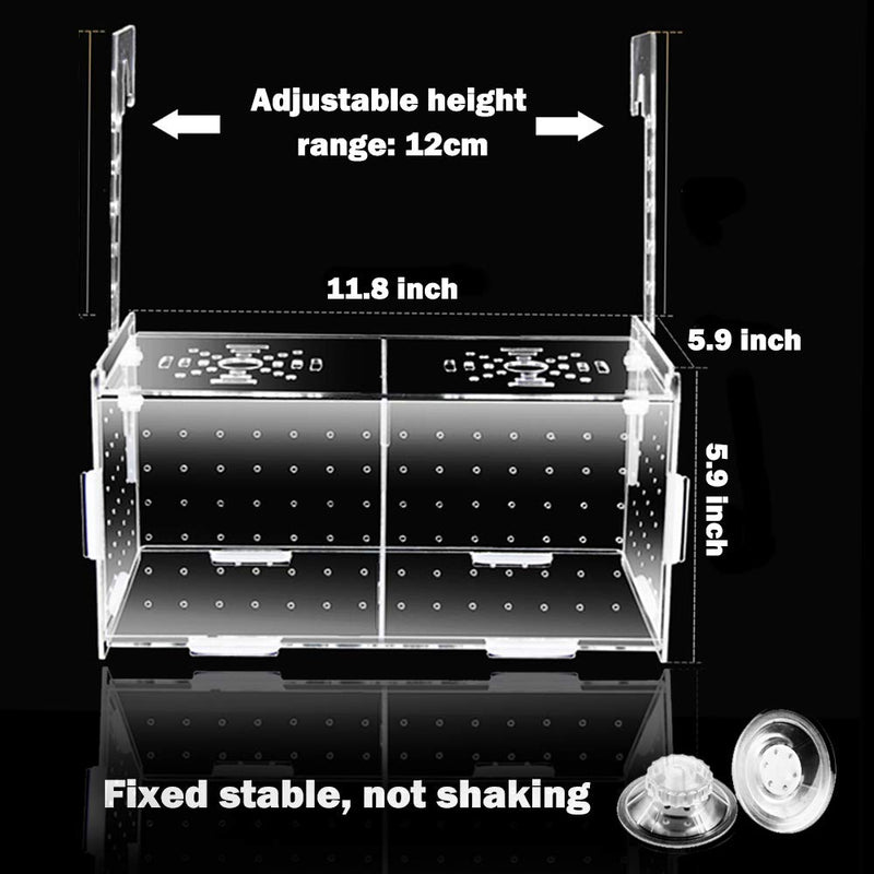 Fish Breeding Box, Acrylic Breeder Isolation Box Aquarium Fish Tank Hatchery Incubator with Suction Cups for Baby Fishes Shrimp Clownfish Guppy - PawsPlanet Australia