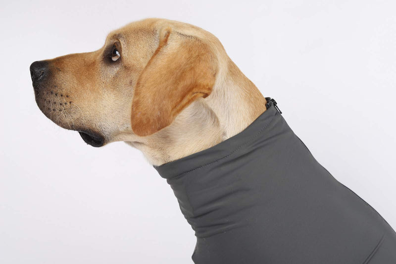 [Australia] - Glorisun Original Dog Onesie, Long-Sleeved 4 Legs Dog Clothing for Home, Car, Travel, Anxiety Calming Shirt, Surgery Recovery Body Jumpsuit S(Back:11.00"-13.77"; Weight:8.8lb-16.53lb) Dark Grey 