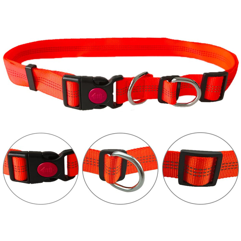 Aiqeer Orange Hands-Free Dog Lead, Adjustable Waist Belt and Stretchy Bungee Lead, Jogging Dog Lead with Reflective Stitching (Grey Handle) - PawsPlanet Australia