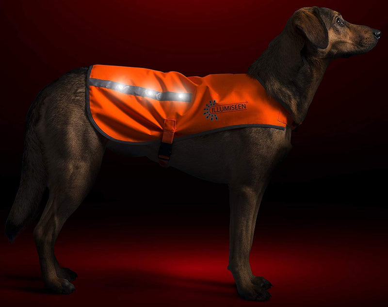 ILLUMISEEN LED Dog Vest | Orange Safety Jacket with Reflective Strips & USB Rechargeable LED Lights | Increase Dog’s Visibility When Walking, Running, Training Outdoors M - PawsPlanet Australia