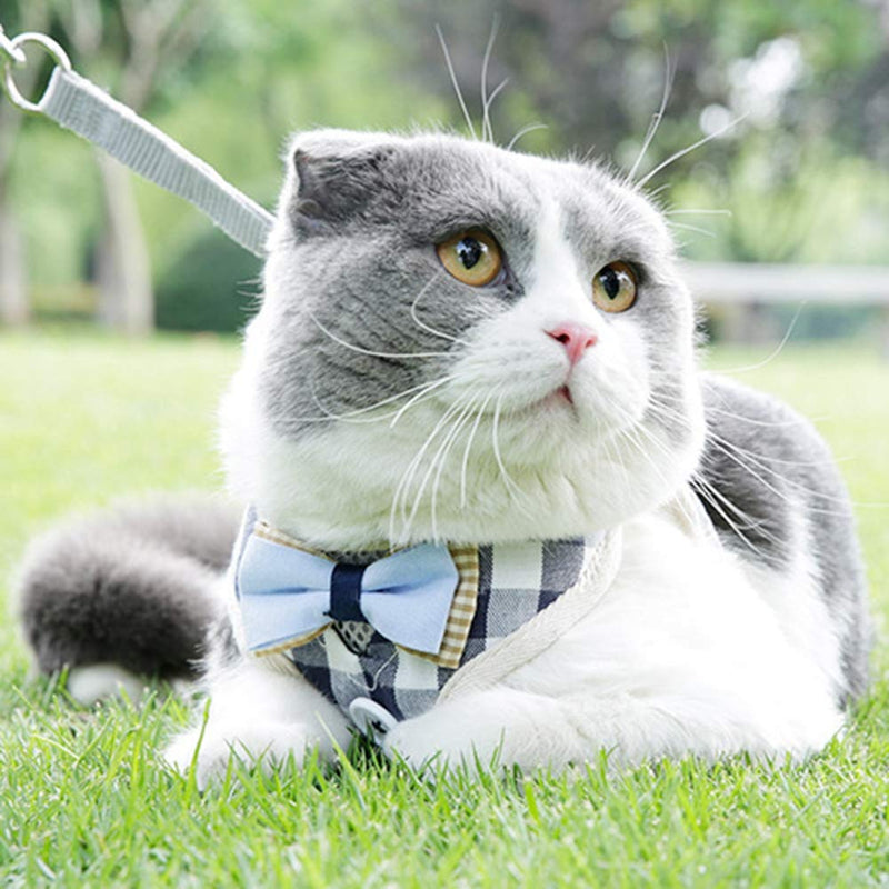 ViaGasaFamido Cat Harness Leash, Polyester Breathable Mesh Vest-style Pet Chest Strap Harness Adjustable Cat Harness with Pulling Traction Leash Rope for Cat Dog Walking(M) M - PawsPlanet Australia