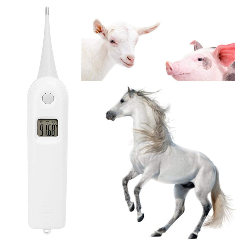 EVTSCAN Professional Pet Veterinary Thermometer, Fast Digital Veterinary Thermometer, Pet Thermometer for Pigs Cattle Sheep Dogs, Horse(No Battery) - PawsPlanet Australia