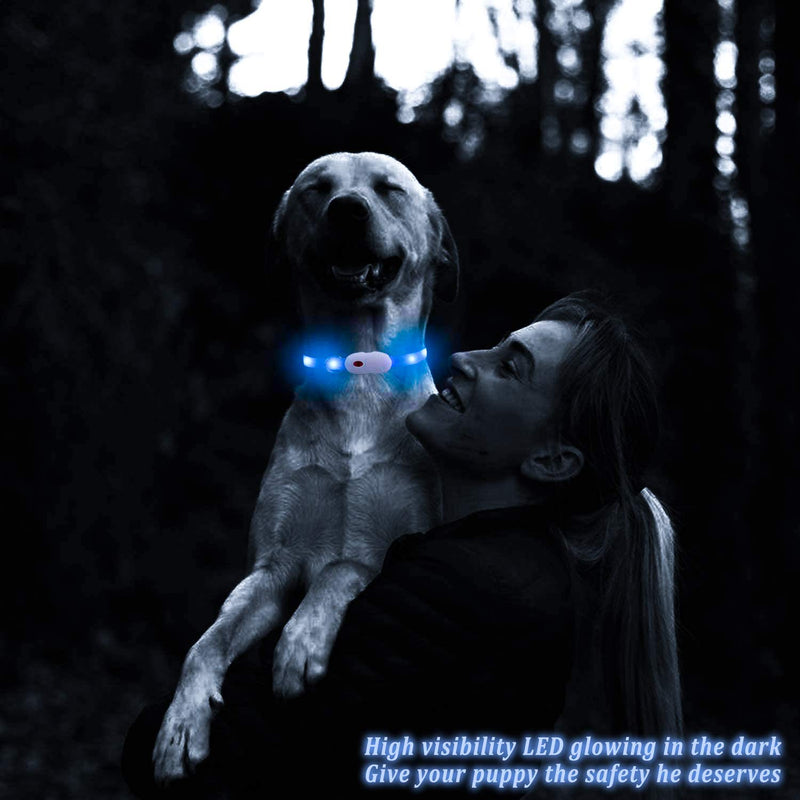 Oladwolf Light Up Dog Collar, LED Dog Collar Lights for the Dark, Ultra Bright USB Rechargeable Cut to Fit Any Size Flashing Dog & Cat Collar Waterproof Blue - PawsPlanet Australia