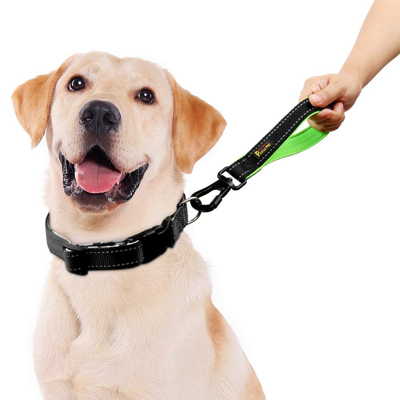 PLUTUS PET Strong Training Dog Lead with Rock Climing Carabiner Clip, Relective Nylon Dog leash Padded Handle, Training Lead for Large and Medium Dogs(25cm,Black) 25 cm (Pack of 1) Black - PawsPlanet Australia