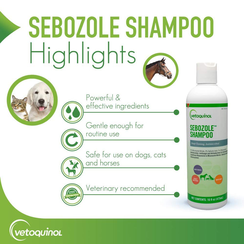 [Australia] - Vetoquinol Sebozole Shampoo with Miconazole Nitrate 2% and Chloroxylenol 1% 16 Fl Oz 