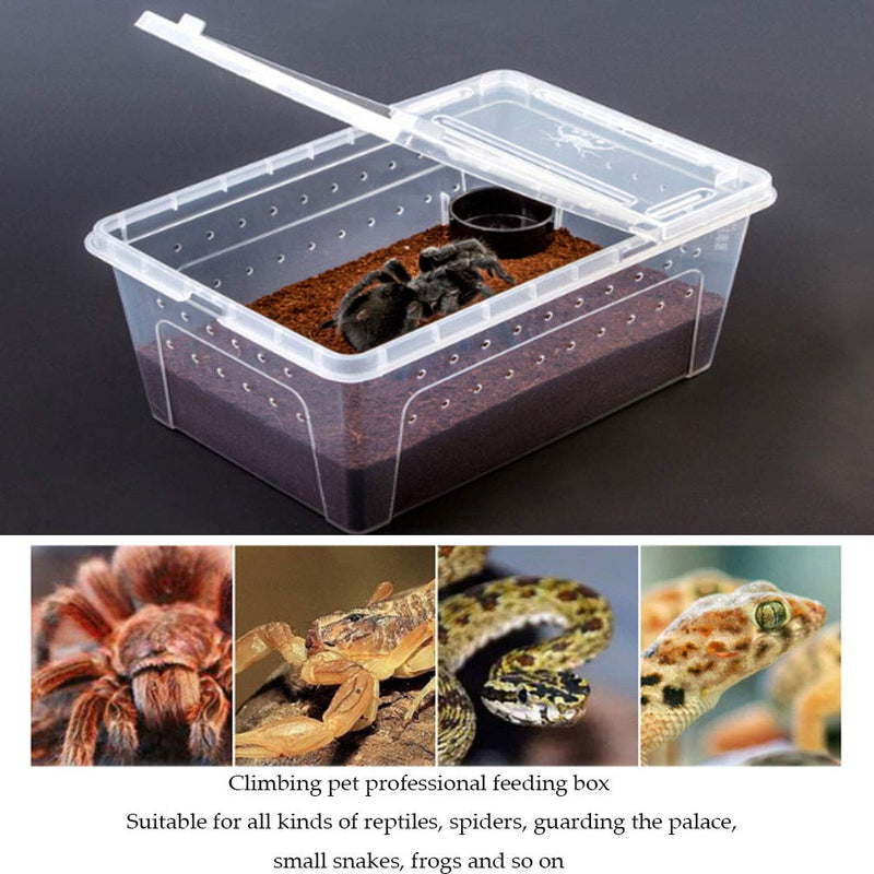 [Australia] - Reptile Small Snake Feeding Box Lizard Tarantula Habitat Cage Hatching Container Transparent Portable Plastic Mini Pet Houses for Scorpion Spider Frog 