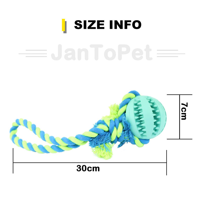 JanToPet Dog Toys Ball, Nontoxic Bite Resistant Toy Ball for Pet Dogs Puppy Cat, Dog Pet Food Treat Feeder Chew Tooth Cleaning Ball Exercise Game IQ Training Ball Teal - PawsPlanet Australia