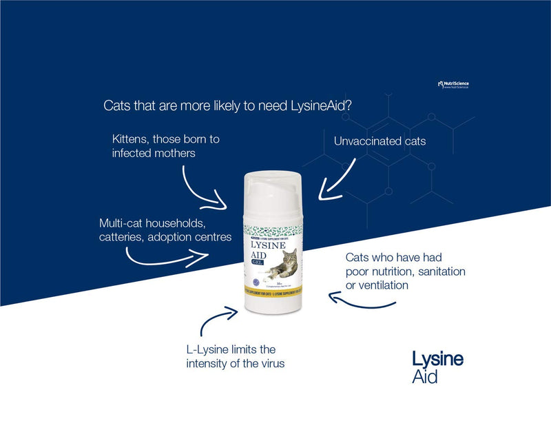 Nutri-Science Lysine Aid Cat Gel, 50ml LysineAid - PawsPlanet Australia