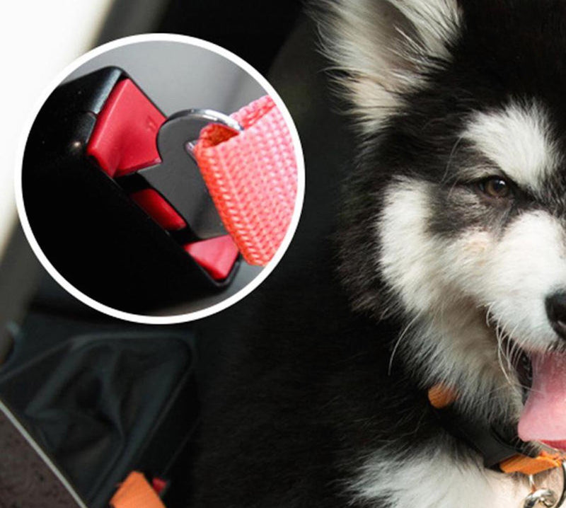 [Australia] - New Tech Junkies SEAT BELT restraint clip-on to collar/harness Pet Dog car truck mini-van Animal Safety nylon RED 