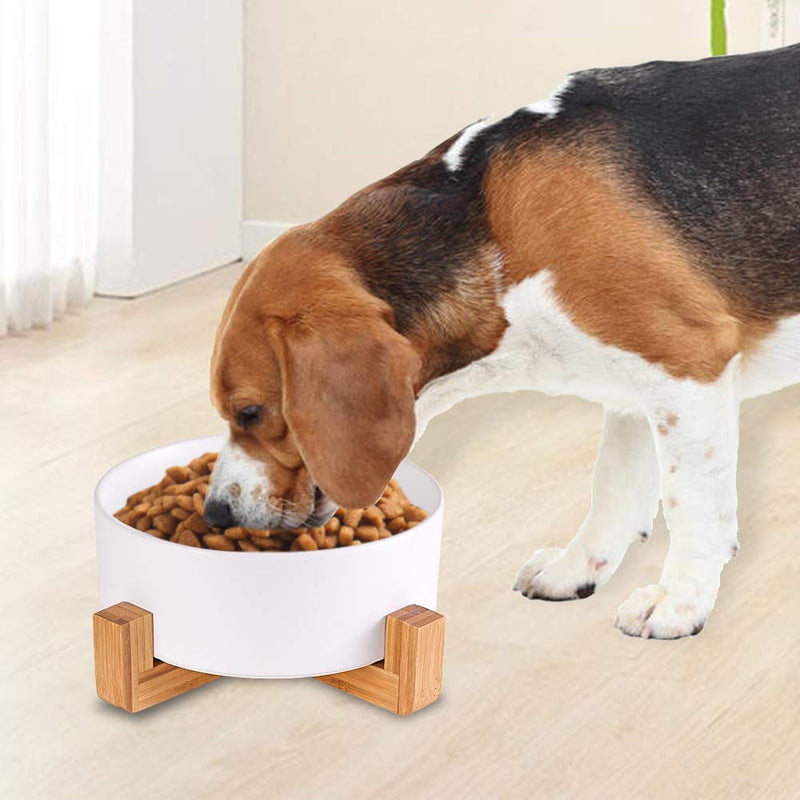 White Ceramic Dog Bowls with Wood Stand, Dog Water Bowls and Food Dish, Heavy Weighted or No Tip Over Dog Comfort Food Bowls, Stoneware Pet Bowl,Extra High Capacity 8.4" Diameter, for Large Dogs White - PawsPlanet Australia