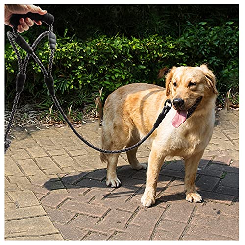 BTINESFUL 10FT Double Handle Traffic Dog Leash- Two Handle Dog Leash for Small Medium Large Dogs Control Safety Walking and Training black - PawsPlanet Australia