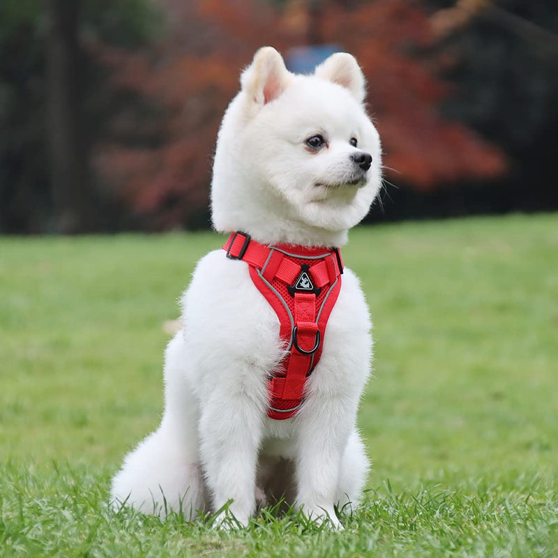 Lairle Dog Harness Small Dog, Puppy Harness, No Pull Dog Hanress Reflective Mesh Dog Vest Hanress with Leash Set for Small Dogs Cats XL Red - PawsPlanet Australia