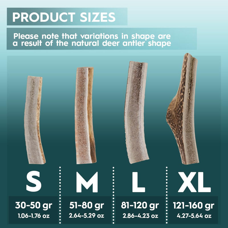 AmeizPet Antlers for dogs, natural, durable dog chew bone, deer chew bone for the dog, deer antlers, long-lasting parts - 1 piece S size S size 1 piece - PawsPlanet Australia