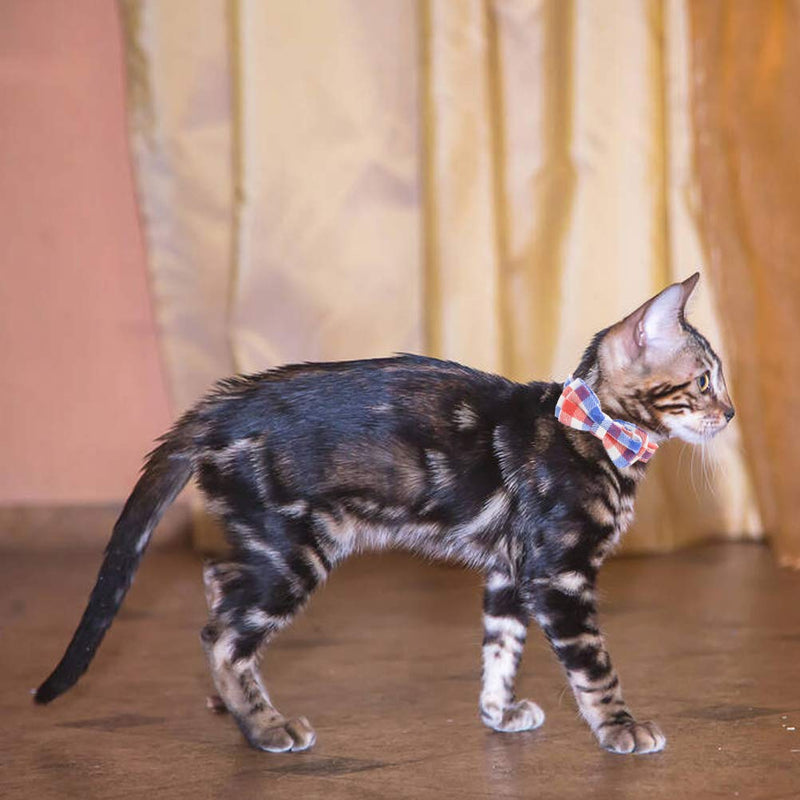 [Australia] - 2 PCS Breakaway Cat Collar with Bowtie and Bell, Safety Buckle Plaid Pattern for Kitten Puppy 