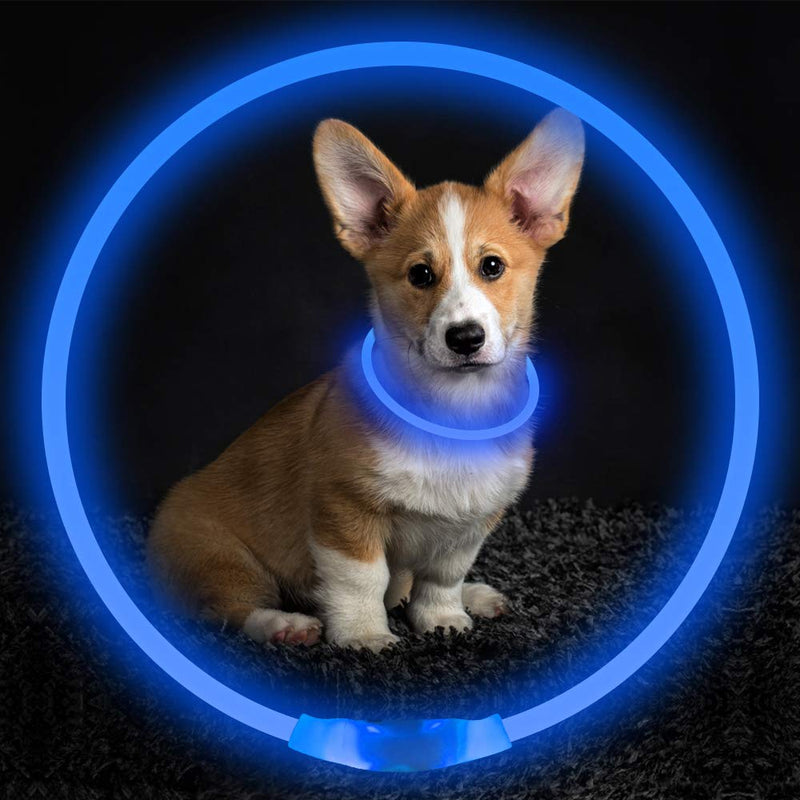 [Australia] - BSEEN LED Dog Collar, USB Rechargeable, Glowing Pet Dog Collar for Night Safety, Fashion Light up Collar for Small Medium Large dogs Blue 