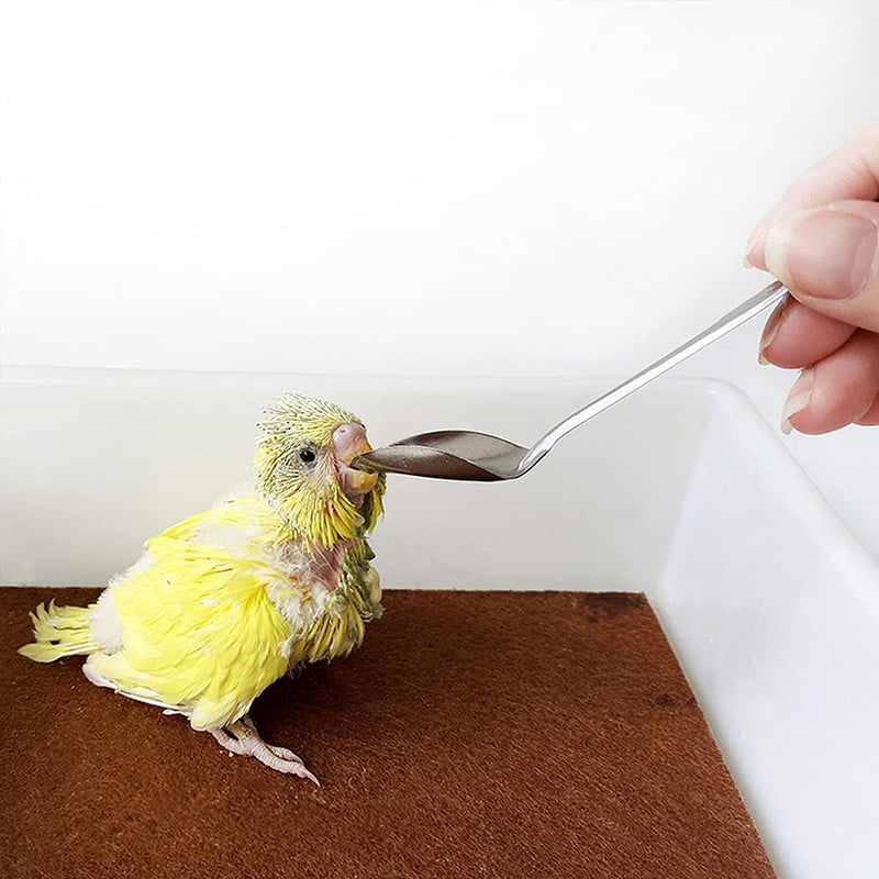 Qixuer 2 Pieces Bird Food Bowl,Stainless Steel Parrot Feeding Cups Animal Cage Water Food Bowl Bird Feeding Dish Cups Bird Feeder with 2 Pieces Bird Feeding Spoon for Cockatiels Chinchilla - PawsPlanet Australia