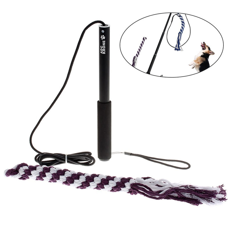 Ueetek Interactive Dog Toy Extendable Flirt Pole Fun Chew Toy for Pets Size L (Black) - PawsPlanet Australia