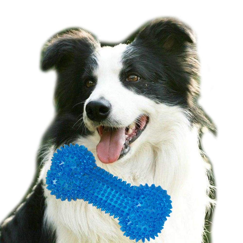 Beylos Durable Pet Puppy Dog Squeaky Chew Bone Toys, Bite Resistant Non-Toxic Soft Natural TPR Rubber, Dog Pet Chew Tooth Cleaning Ring Toy(Blue) Blue - PawsPlanet Australia