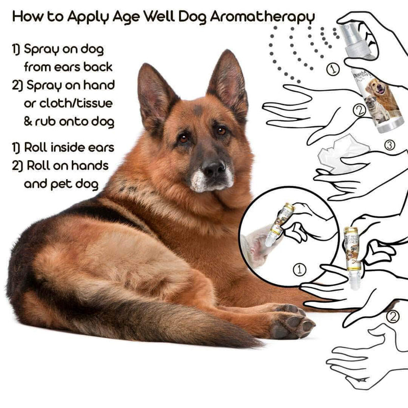 [Australia] - The Blissful Dog Age Well Dog Aromatherapy 0.45-Ounce Roll-On German Shepherd 