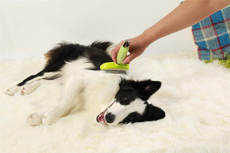 PETS EMPIRE Pet Grooming Brush Silicone Handle Shedding Massage Dog Brush & Cat Brush Pet Comb Dog Comb - PawsPlanet Australia