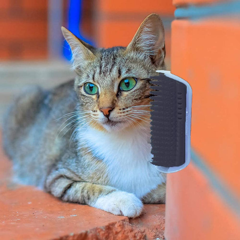 FasHuby 2 Pack Dog Cat Self Groomer, Wall Corner Massage Comb Grooming Brush Black - PawsPlanet Australia