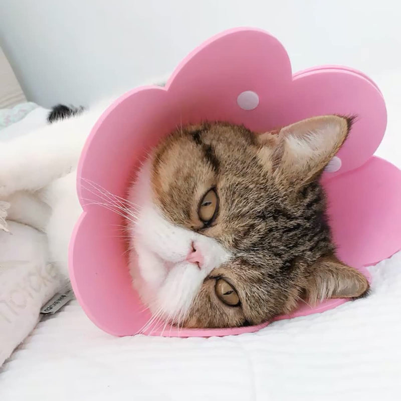 Qixuer Cat Neck Collar, Pack of 4 Protective Collar Cat Collar Pink and Blue Cat Collar Protectors Are Used to Prevent Injuries Caused by Licking Wounds After Surgery - PawsPlanet Australia