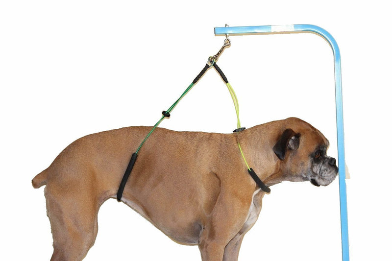 [Australia] - Lanyarco No-Sit Haunch Holder Dog Grooming Harness Leash Loop for Pet Green / Blue-For small to medium dogs 