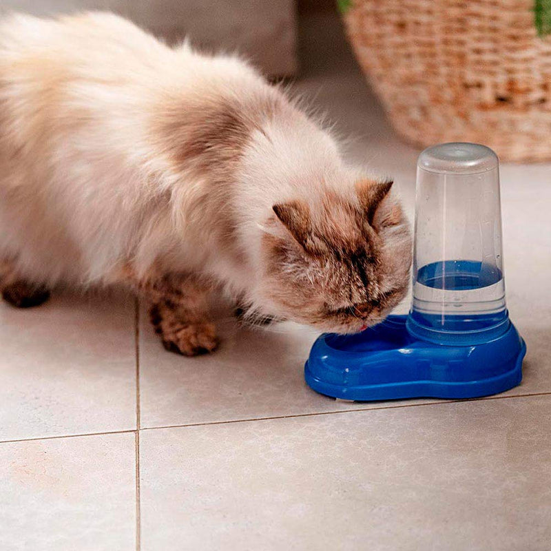 Ferplast Food or Water Dispenser for Dogs and Cats AZIMUT 600 Pet Dispenser Dry Food Feeder Water 0,6 Litres, Sturdy Plastic, Transparent Tank, Non-Slip Bottom, 12,5 x 19 x h 19,5 cm Blue 12.5 x 19 x 19.5 (0.6 Litre) - PawsPlanet Australia