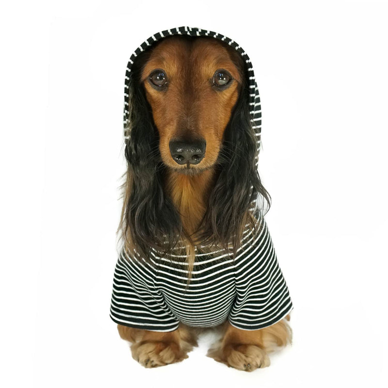 DJANGO Dog Hoodie and Super Soft and Stretchy Sweater with Elastic Waistband and Leash Portal X-Small Black - PawsPlanet Australia