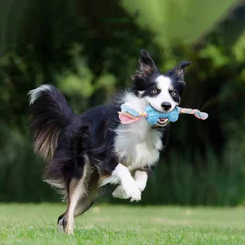 5pcs Multifunction Dog Toys for Aggressive Chewers Pet Dog Chew Toys with Rope Toys, Dog Squeaky Toy for Puppy and Small Dogs - PawsPlanet Australia