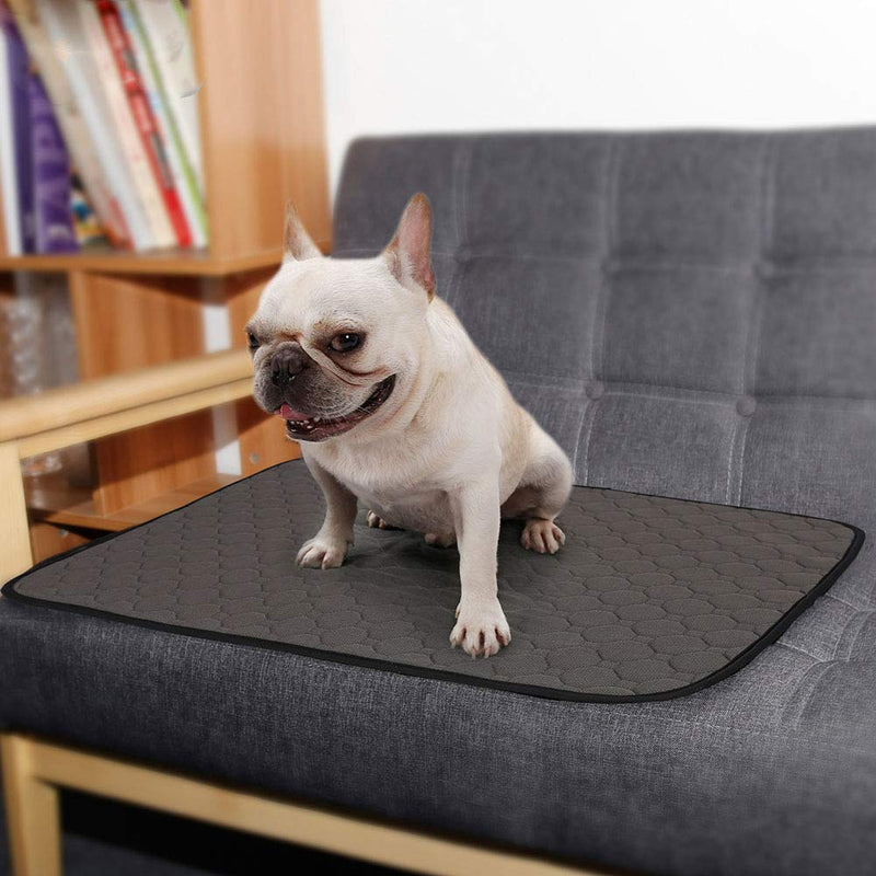 [Australia] - Dog Bed Mat for Crate Kennel, Waterproof Pet Pee Training Pads with Anti-slip Bottom for Puppy Small Medium and Large Doggy, Sleeping Mattress Cushions for Food Bowls|Cage|Car|Sofa,Machine Washable L-39.37”X26.38” Gray 