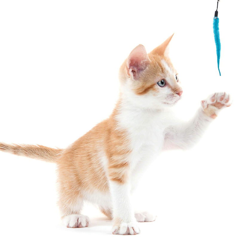 Diyiming Cat Wand Toys Replacement Refills 6 Colors Cat Worm Toy Interactive Cat Toy Wand Cat Catcher Tassel Cat Stick Training Assorted Teaser Refills with Bell for Kitten Having Fun Exercise Playing - PawsPlanet Australia