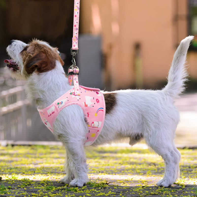 SCENEREAL Small Dog Harness Leash Set - Step in Cute Soft Adjustable Pink Puppy Harness, Breathable No Pull Mesh Dog Vest Harness for Small Medium Dogs Cat Pet - PawsPlanet Australia