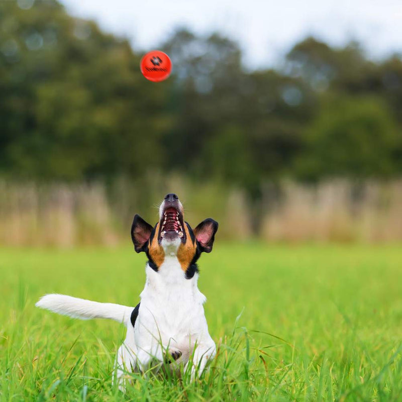 SCENEREAL 12 PCS Rubber Balls for Dogs Dog Training Ball Chew Resistant Dog Ball Sets Dog Ball for Water 1.77 inch High Bounce Floating on Water Dog Ball for Small Medium Dogs - PawsPlanet Australia