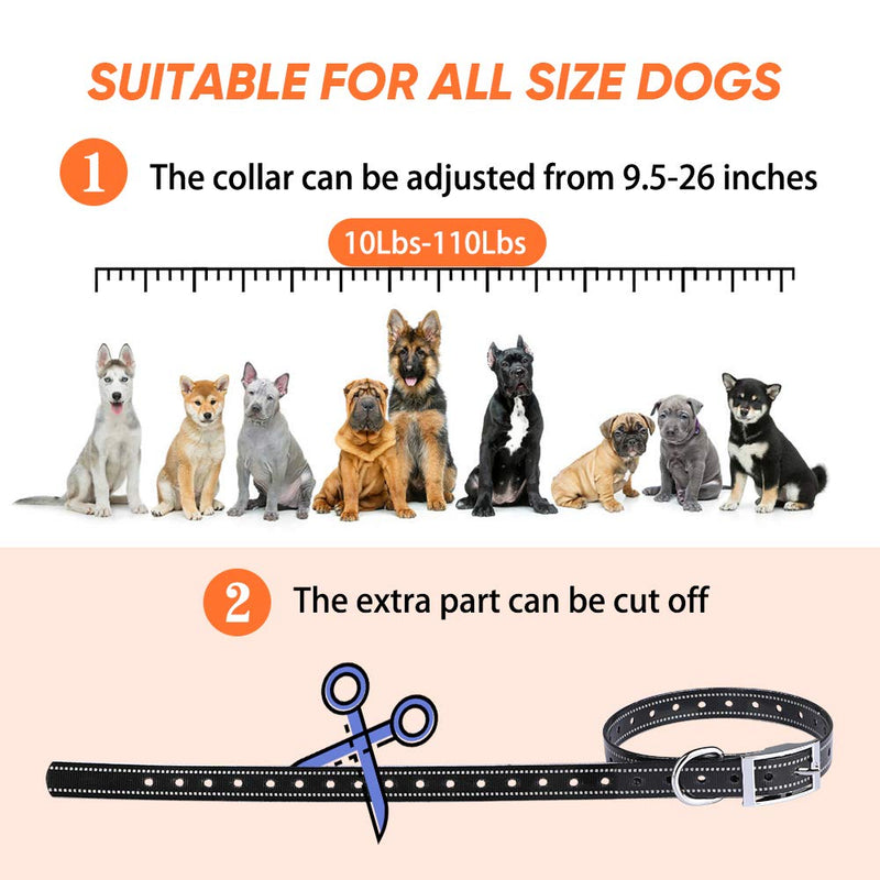 [Australia] - Dog Training Collar with Remote - Dog Shock Collar w/3 Training Modes, Beep, Vibration and Shock, 100% Waterproof Training Collar - Up to 1000Ft Range Remote - Suitable for Small, Medium or Large Dogs For Two Dogs 