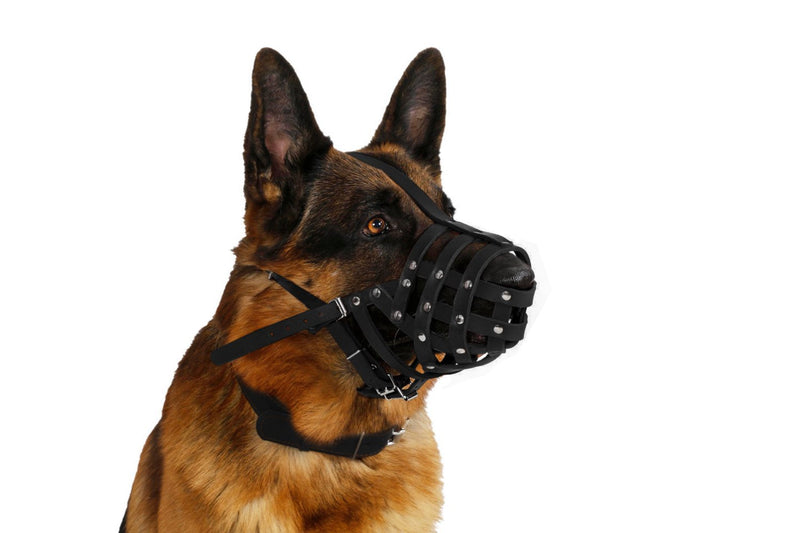 CollarDirect Dog Muzzle German Shepherd Dalmatian Doberman Setter Leather Basket Medium Large Breeds Black Brown Medium (Pack of 1) - PawsPlanet Australia