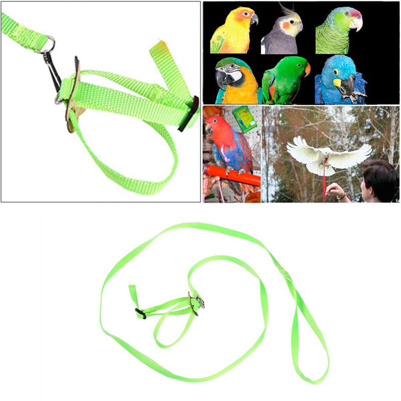 Pet Parrot Bird Harness, Bird Harness Leash, Bird Harness and Leash for Parrots Adjustable, Anti-bite Flight Training Rope Pet Traction Outdoor Fit Budgie Cockatiel Mynah - PawsPlanet Australia