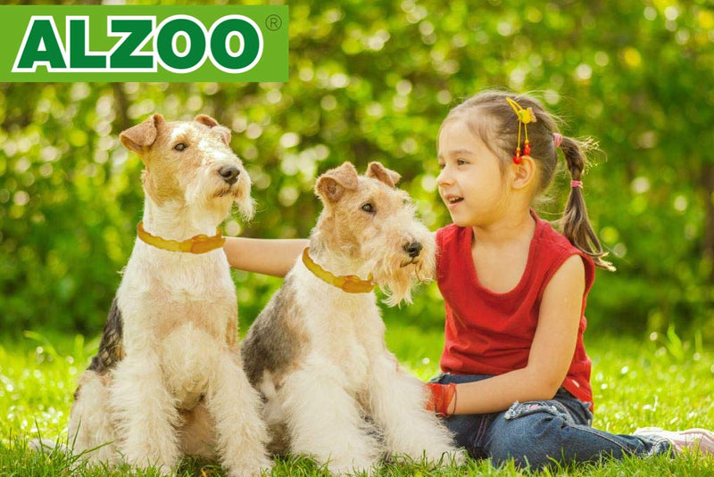 [Australia] - ALZOO Natural Repellent Diffusing Dog Collar | Repels Fleas, Ticks, Dust-Mites Using Natural Active Ingredients | for Medium Sized Dogs 