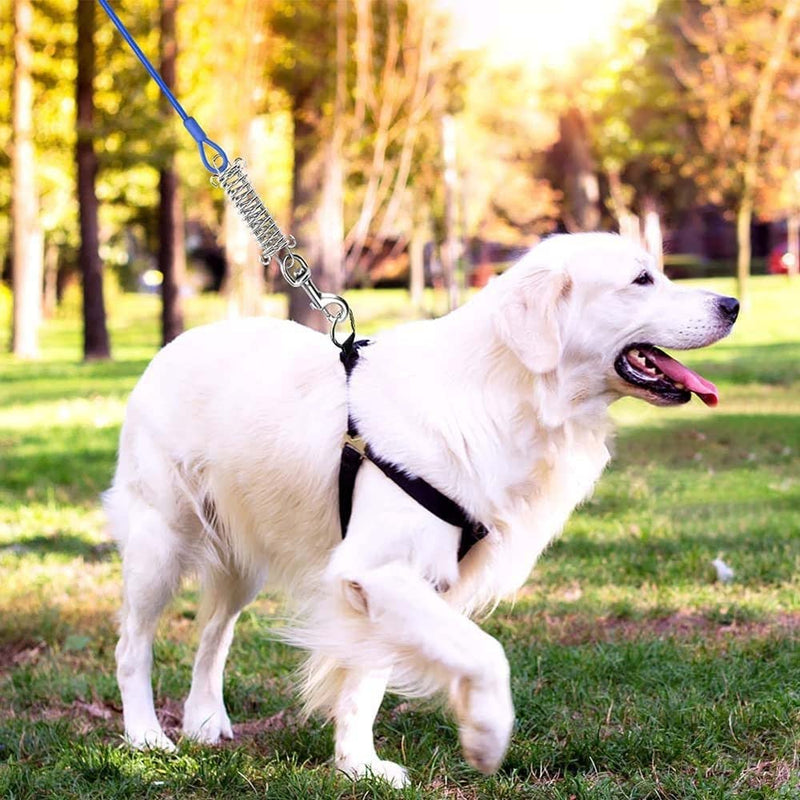 Yard Leash, 3m/5m Dog Leash for Dogs, Cable Leash Tension Lead with Shock-Absorbing Spring for Medium and Large Dogs Camping, Garden, Running, Outdoor Park Blue Diameter 5mm/0.2", Length 5m/16ft - PawsPlanet Australia