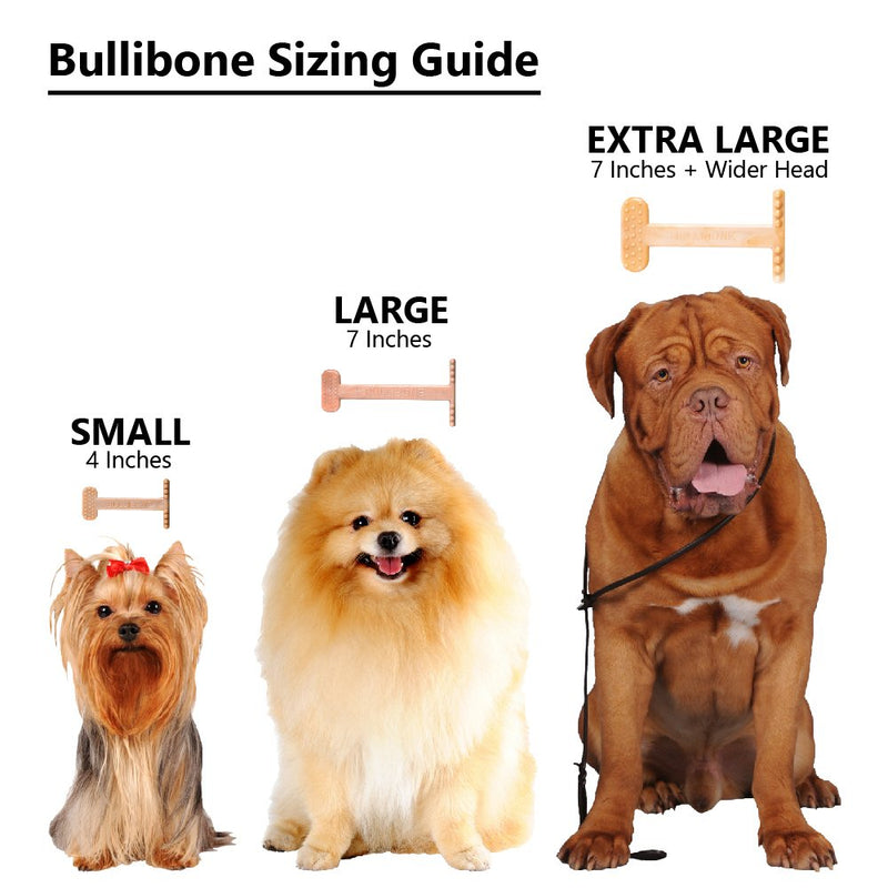 [Australia] - Bullibone Nylon Dog Chew Toy Nylon Bone - Improves Dental Hygiene, Easy to Grip Bottom, and Permeated with Flavor Bacon XL - 2 Pack 