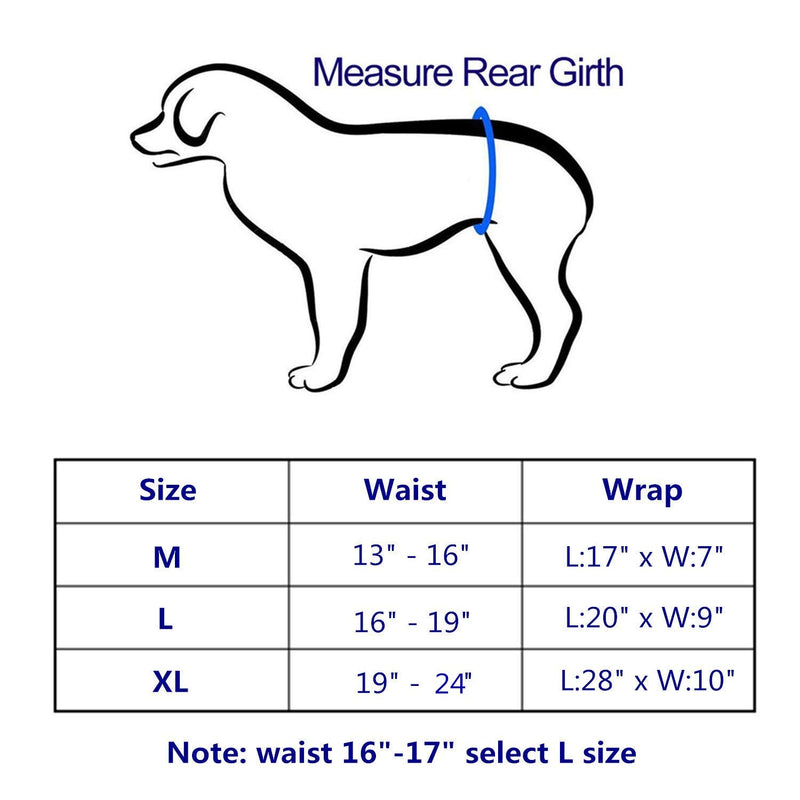 [Australia] - Cilkus Washable Male Dog Diapers (Pack of 3) - 2019 New Design Male Dog Belly Wrap, Soft and Comfortable, with Adjustable Velcro Straps, Reusable Belly Bands M M(13"-16"Waist) Fashion Set 