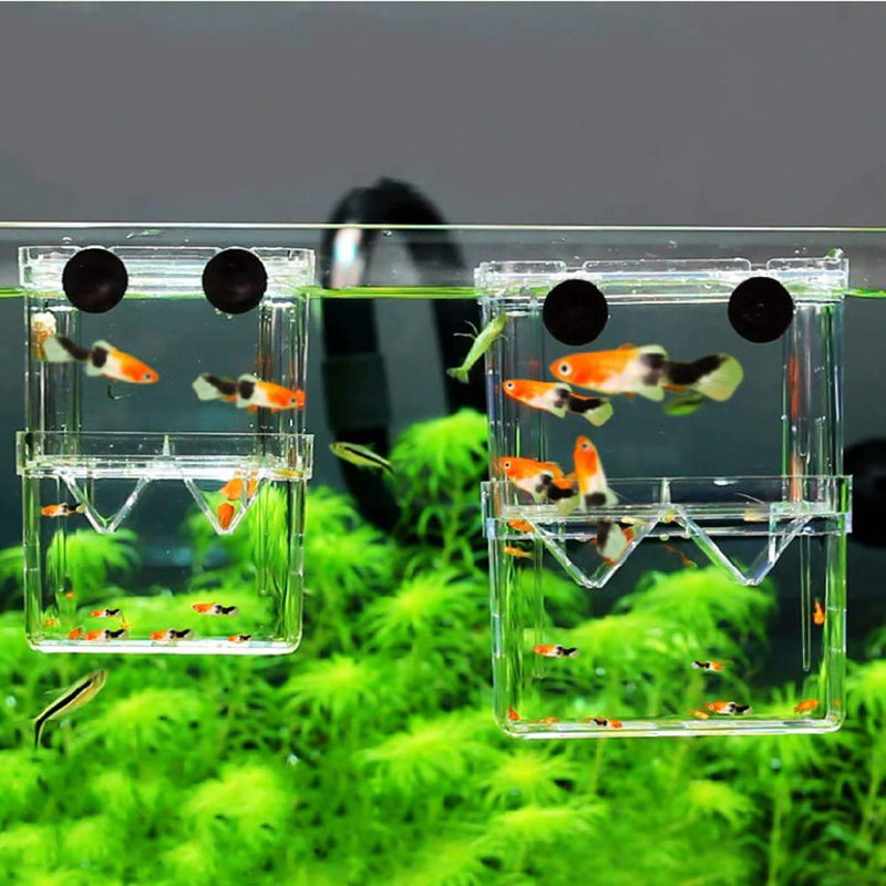 [Australia] - Petzilla in-Tank Aquarium Breeder Box for Fish Tank, Breeding Incubator for Small Fish Hatchery, Acrylic Divider for Shrimp Clownfish Aggressive Fish Injured Fish Small, 4.3"x2.75"x3.11" 