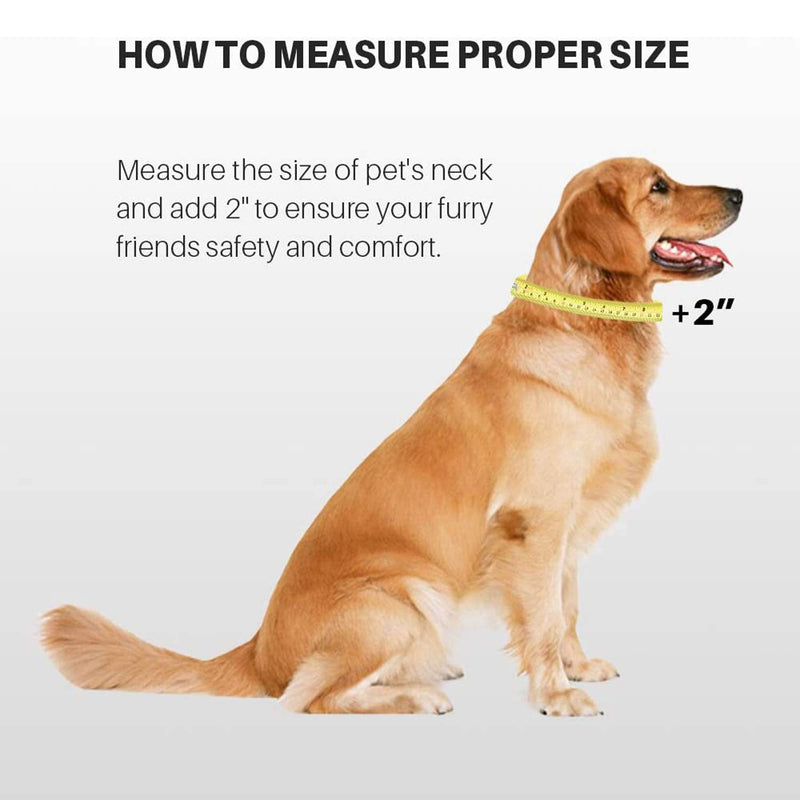 Hyhug designs Classic Basic Dog Collars, Plain Nylon, Secure Quick Buckles, Remove, and Can Hang Dog ID Tags (Small, Classic Blue) Small - PawsPlanet Australia