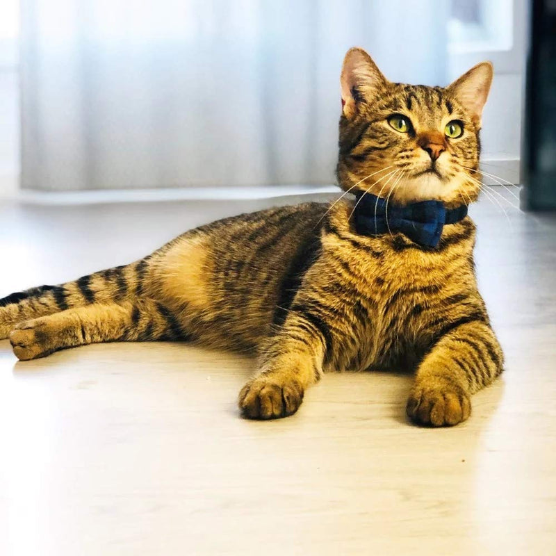 [Australia] - Adjustable Cat Collar Breakaway with Cute Bow Tie and Bell for Kitty Safety Pet Cat Collars Blue+Pink 