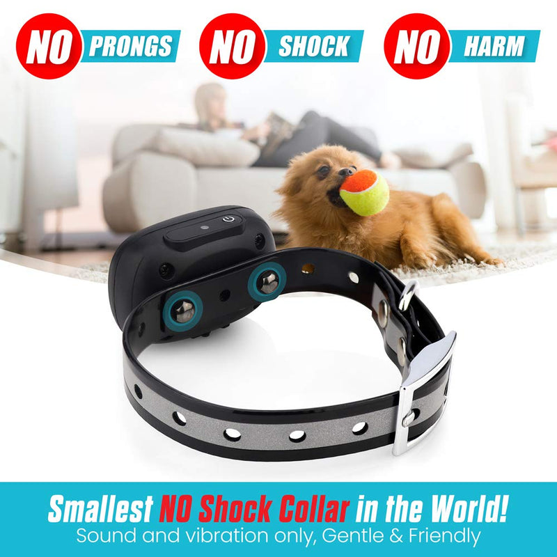 NO Shock Small Dog Training Collar with Remote - NO Prongs - Fits Small Dogs Under 15 pounds (between 5-15 lbs) - Vibration & Sound Only - 1,000 FT Range - Long Lasting Battery Life -Humane & Friendly Blue - PawsPlanet Australia